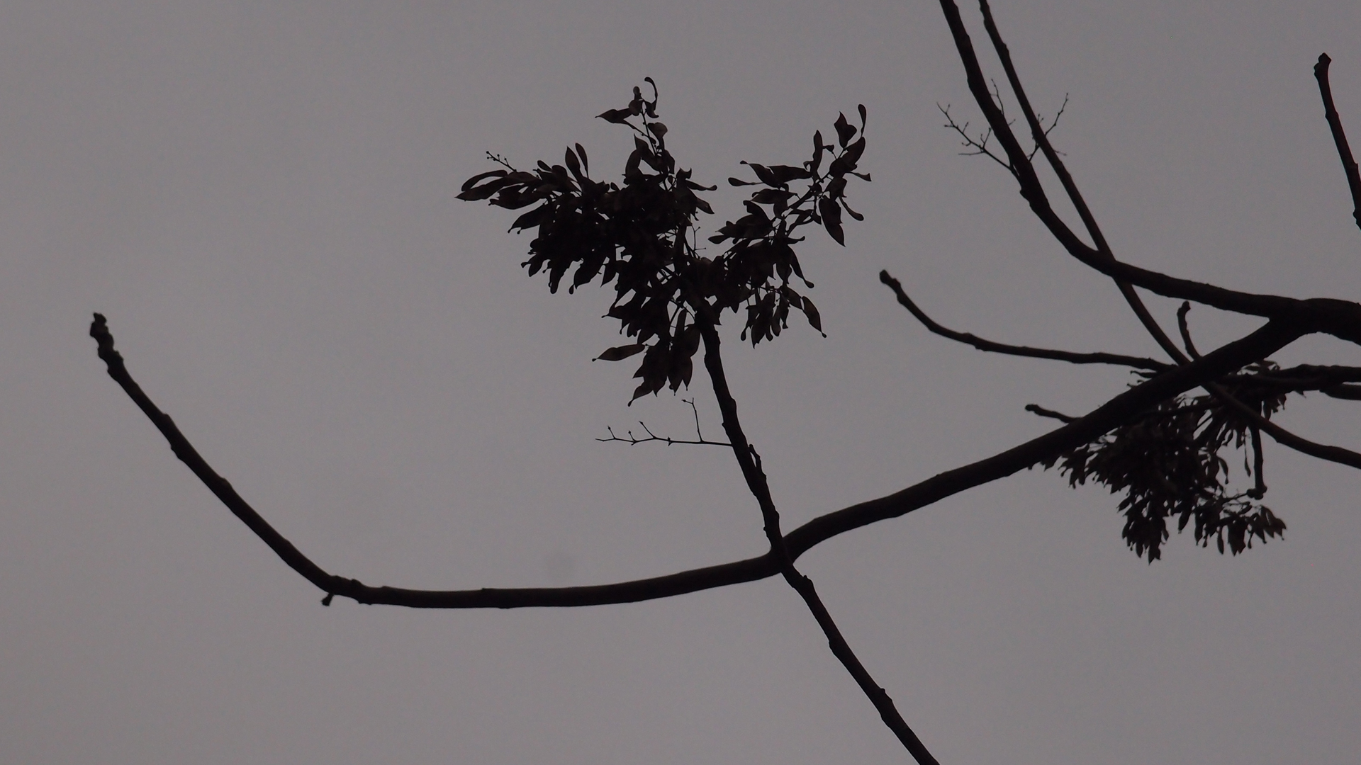 2021-01-06 - 08 Kühlgeträt (On/Off) (Remix John Cage - Empty Words IV)